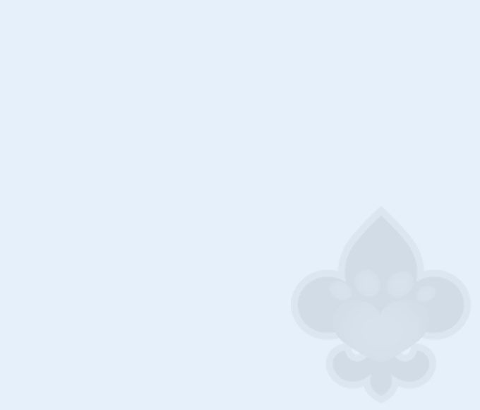 blue background header mobile
